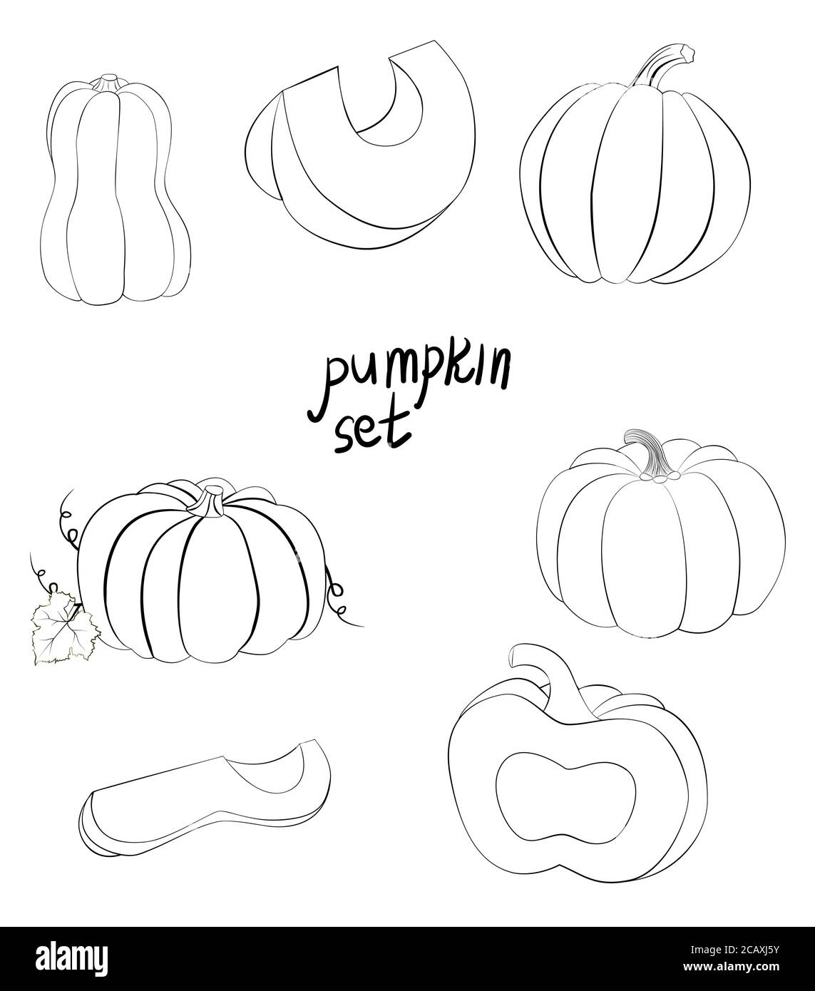 linea art zucca intera e fette. zucca monocromatica mano disegnata set. raccolta illustrazione vettoriale. Illustrazione Vettoriale