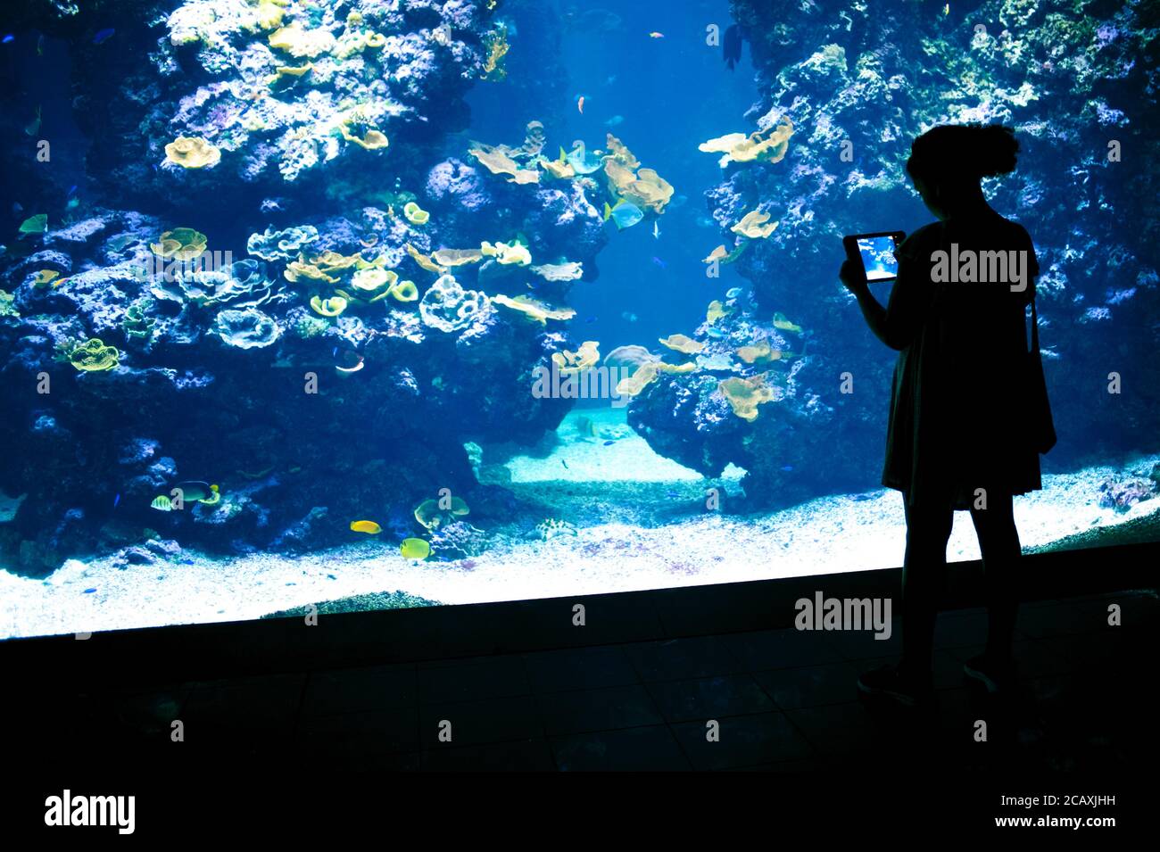 Scatta foto della ragazza utilizzando un tablet digitale durante la visita un acquario Foto Stock