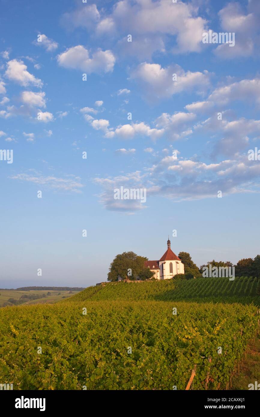 Geografia / viaggio, Germania, Baviera, convento Vogelsburg sul circuito del fiume Volkach Main, Volkach, Lowe, diritti aggiuntivi-clearance-Info-non-disponibile Foto Stock