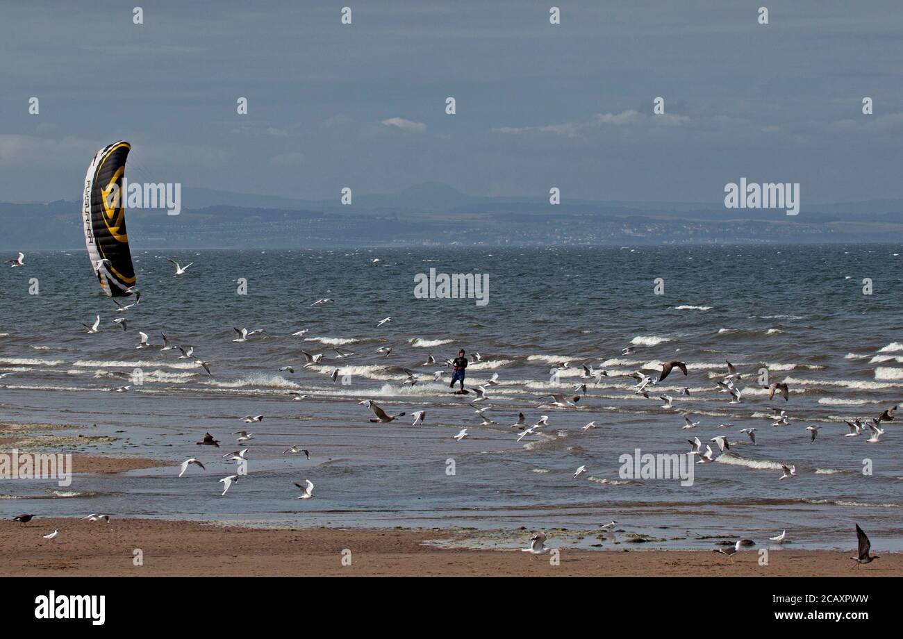 Portobello, Edimburgo, Scozia, Regno Unito. 9 agosto 2020. Kite Surfer circondato da gabbiani che ha appena sparato. Più persone sulla spiaggia nel tardo pomeriggio, il vento fresco che dà la rara opportunità di Kite Surf sul Firth of Forth a Porty. Foto Stock