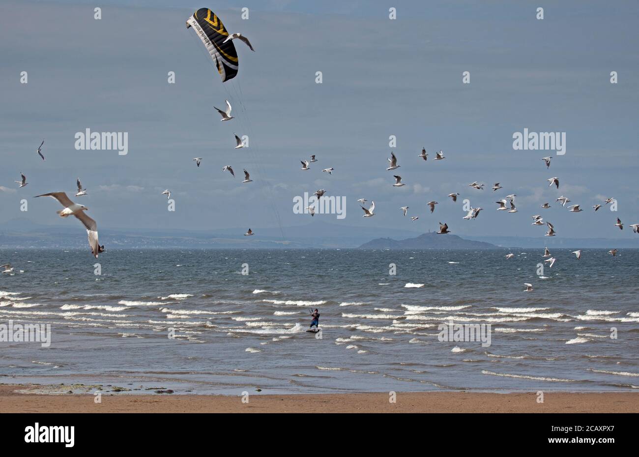 Portobello, Edimburgo, Scozia, Regno Unito. 9 agosto 2020. Kite Surfer circondato da gabbiani che ha appena sparato. Più persone sulla spiaggia nel tardo pomeriggio, il vento fresco che dà la rara opportunità di Kite Surf sul Firth of Forth a Porty. Foto Stock