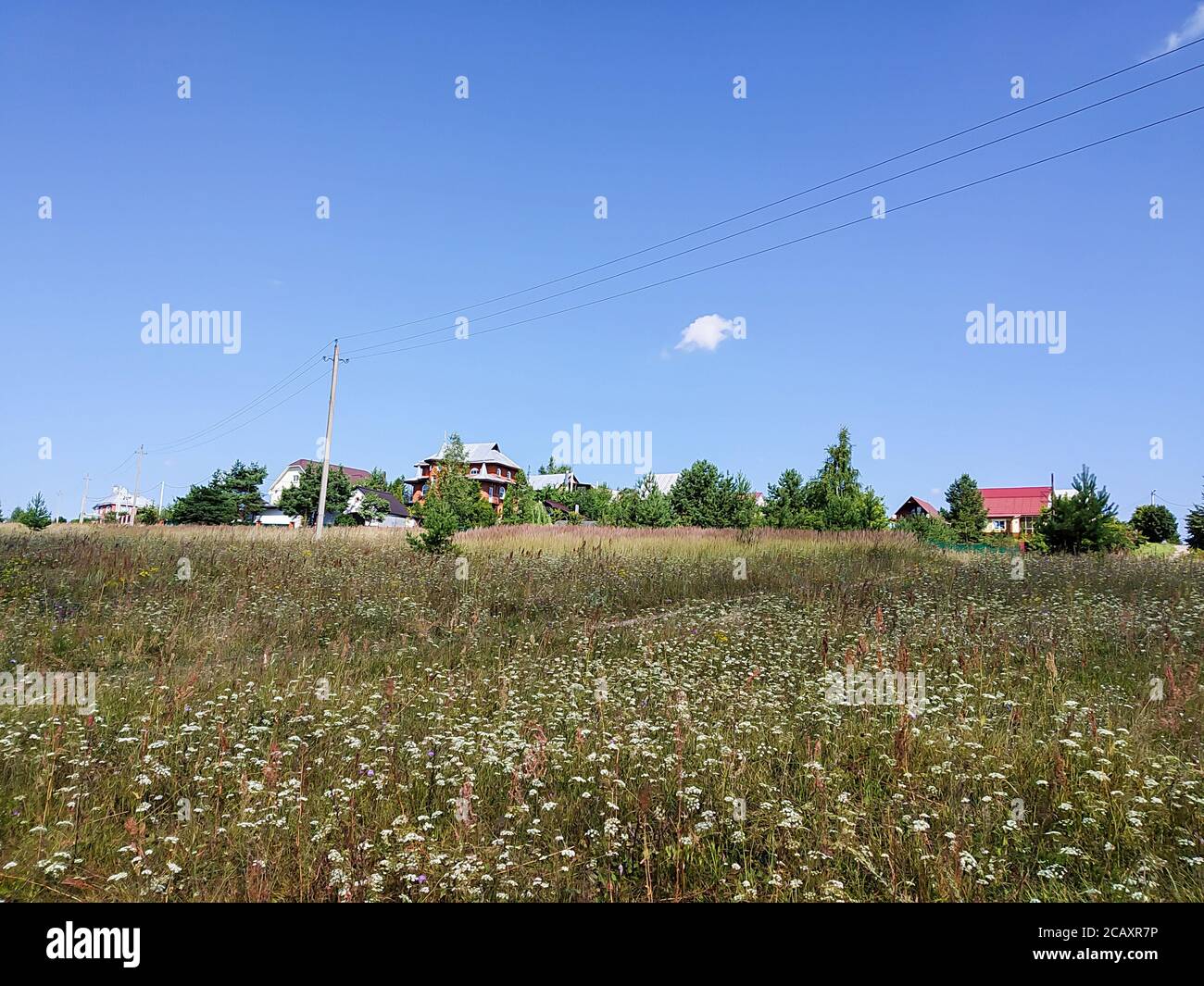 Il paesaggio anno in terreno rurale con tipo sul villaggio. Erba verde con albero su sfondo cielo blu con nuvola Foto Stock