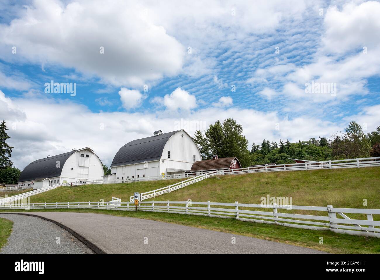 BELLEVUE, WA/USA – 21 GIUGNO 2020: Kelsey Creek Park Farm, fienili e campi in una giornata estiva nuvolosa Foto Stock