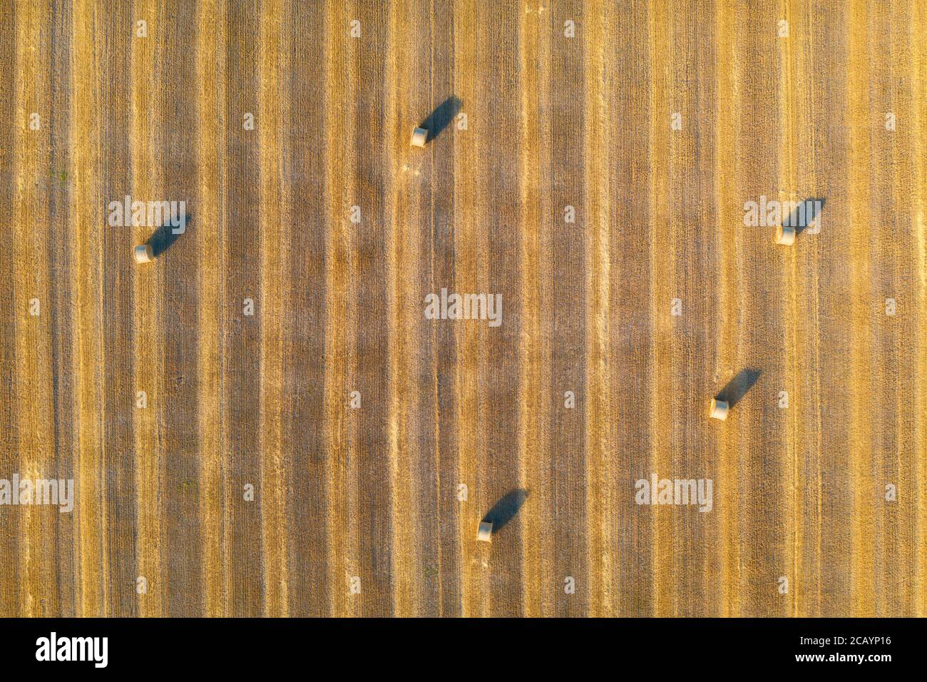 Vista aerea delle balle di fieno in estate. Vista dall'alto delle pile di fieno Foto Stock