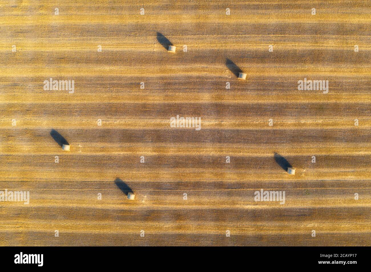 Vista aerea delle balle di fieno in estate. Vista dall'alto delle pile di fieno Foto Stock