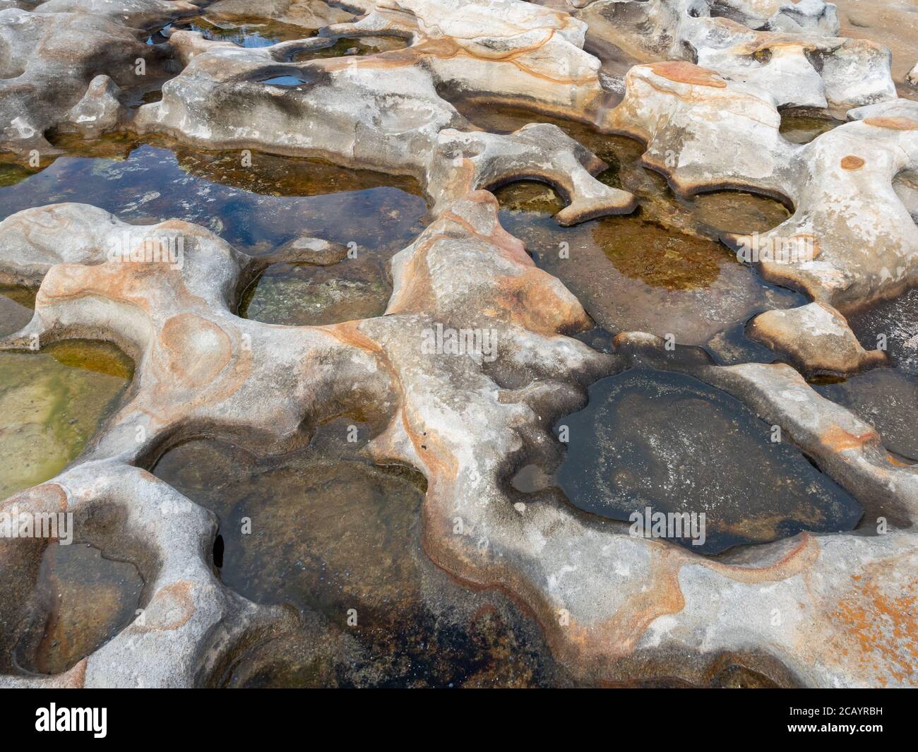 Rocce di arenaria con piccole pudddle su piccoli buchi a Kurnell in un pomeriggio invernale soleggiato Foto Stock