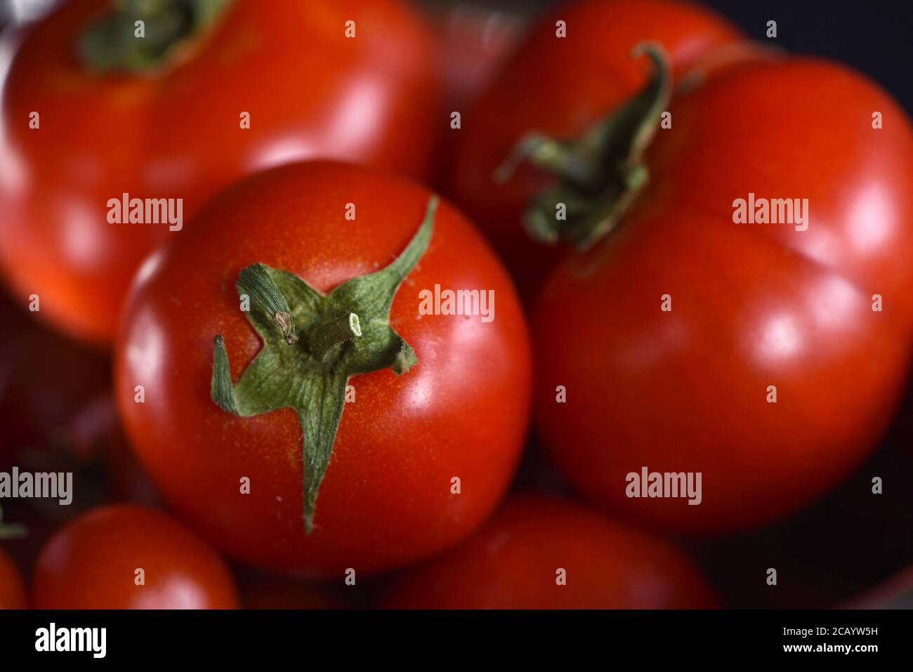 Una varietà di pomodori da giardino appena raccolti Foto Stock