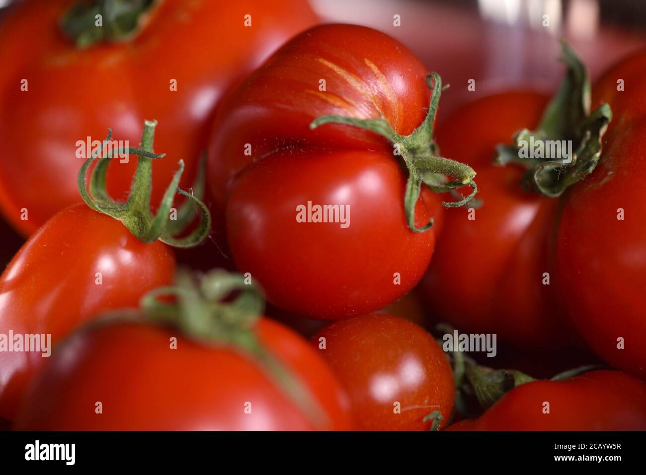 Una varietà di pomodori da giardino appena raccolti Foto Stock