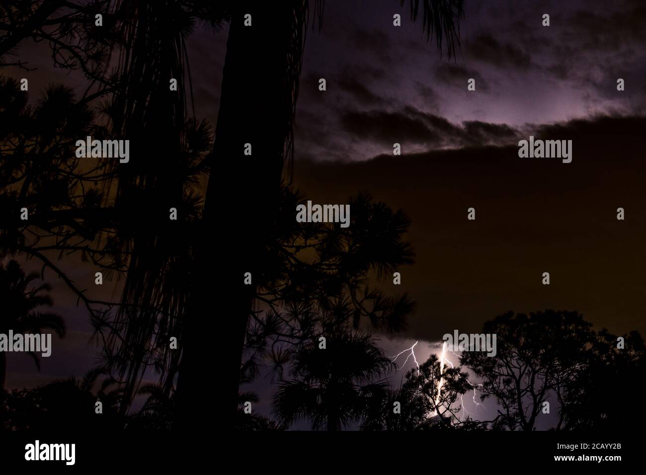 Sarasota, USA, 9 agosto 2020. Il cielo è illuminato da luci durante una tempesta elettrica nei Meadows, Sarasota, Florida. Credito: Enrique Sho Foto Stock
