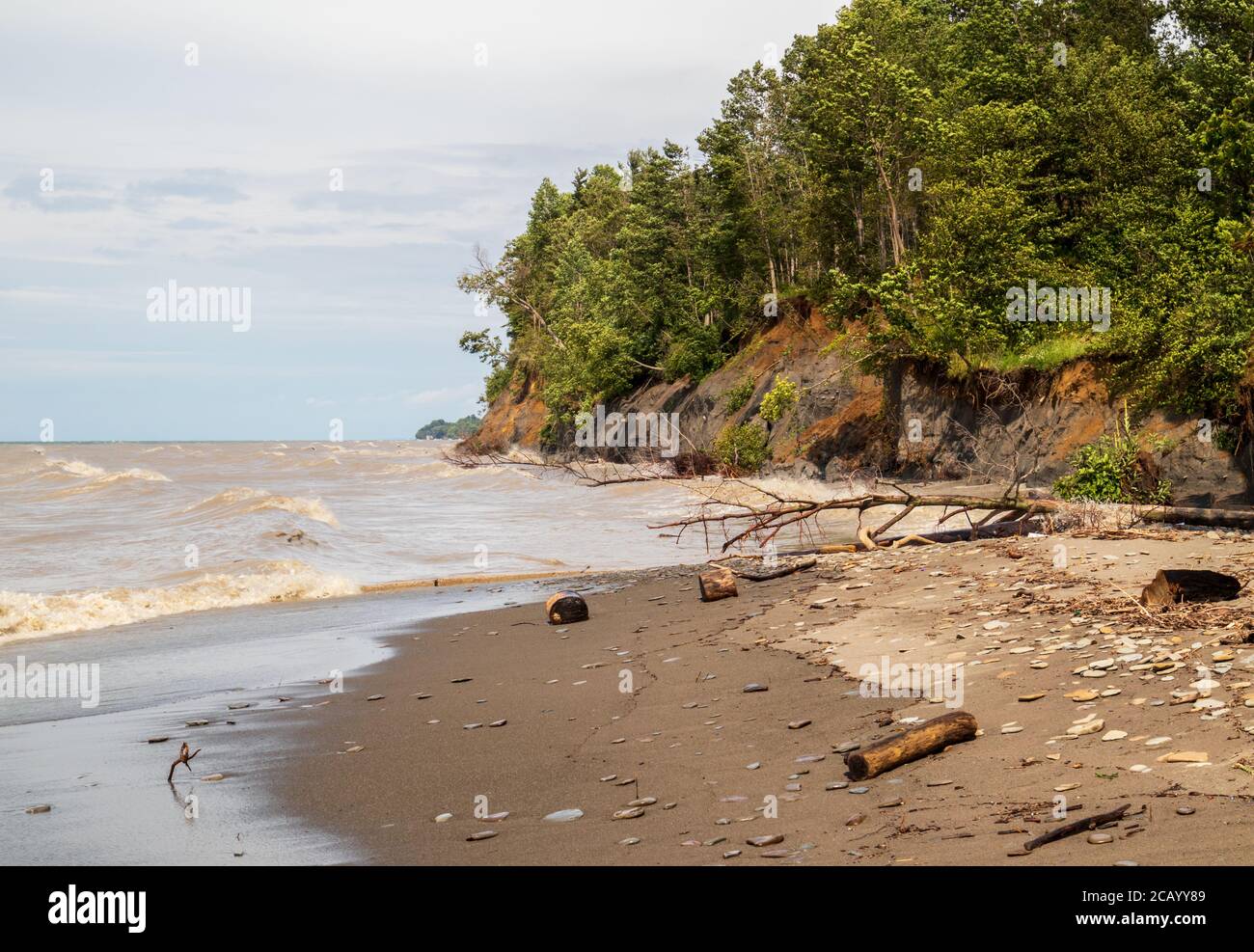 Erie Bluffs state Park vicino a Erie, Pennsylvania Foto Stock