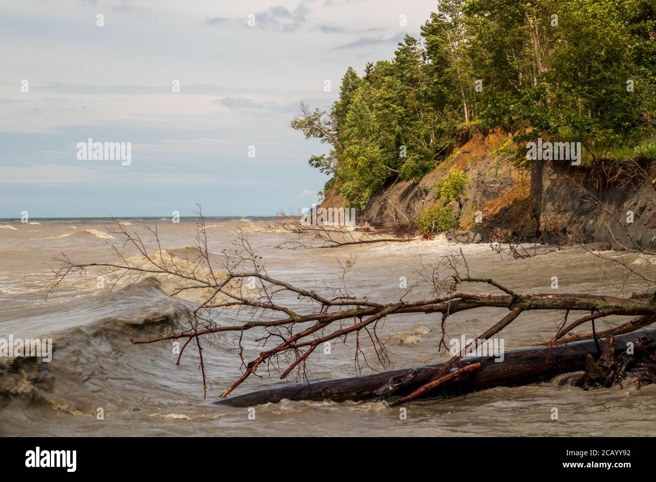 Erie Bluffs state Park vicino a Erie, Pennsylvania Foto Stock