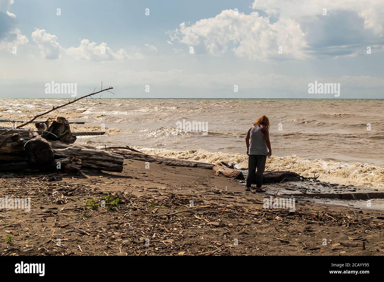 Erie Bluffs state Park vicino a Erie, Pennsylvania Foto Stock