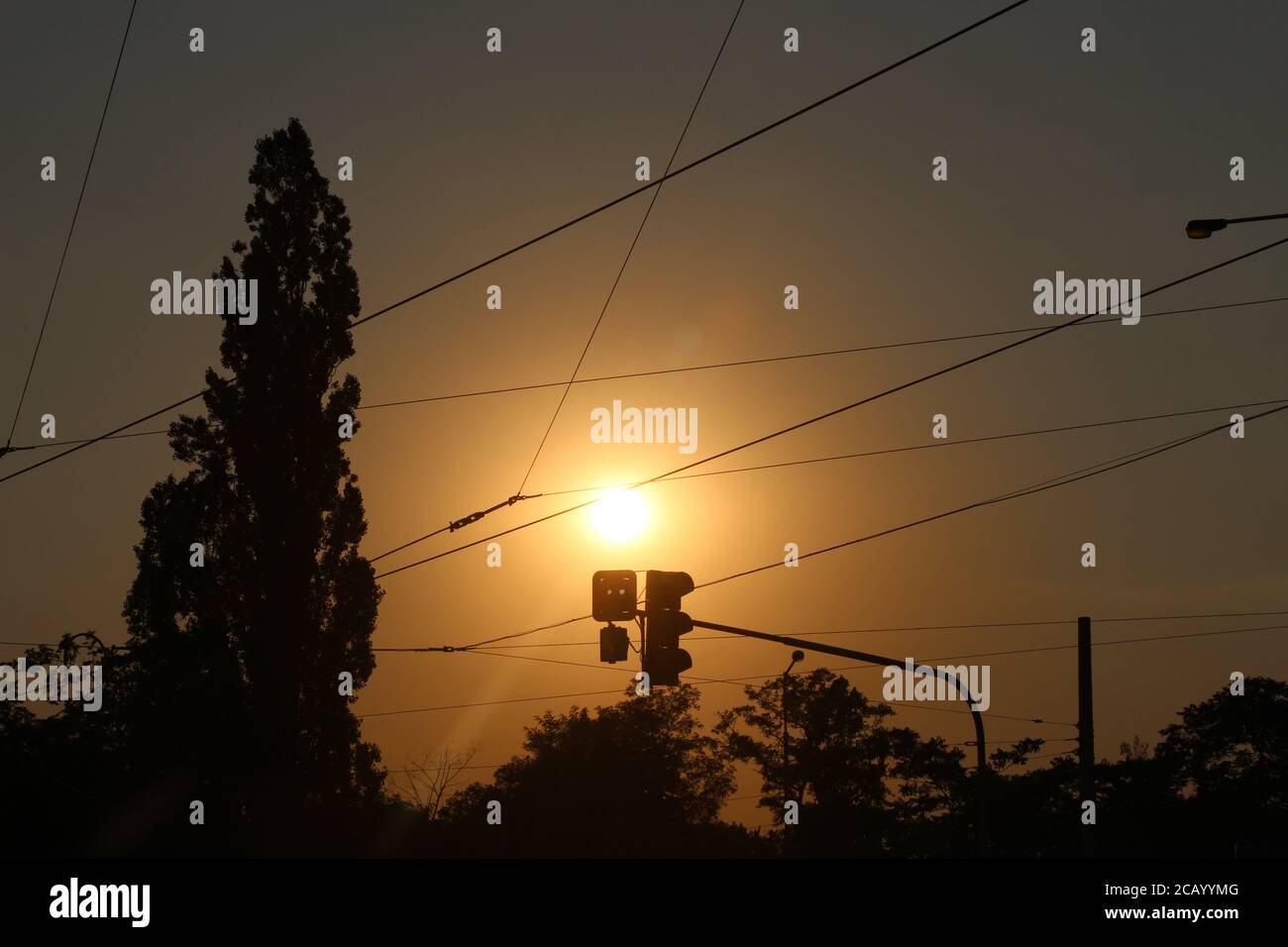 Crepuscolo - molto vicino alla fermata del tram di Ohrada a Praga, si può vedere un albero di pioppo accanto al sole che tramonta, una sfera così luminosa nel cielo. Foto Stock