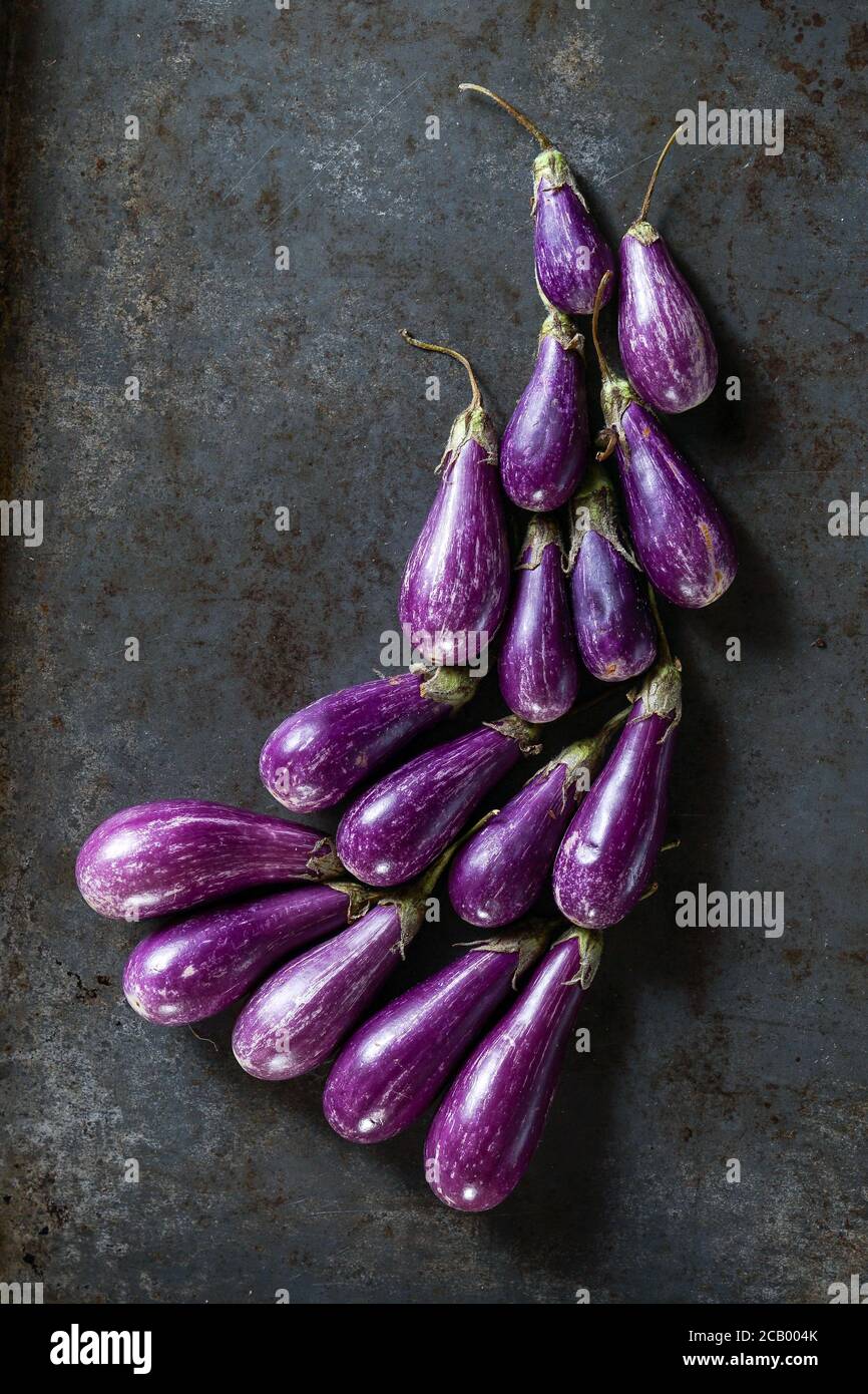 Melanzane da favola su una superficie scura Foto Stock
