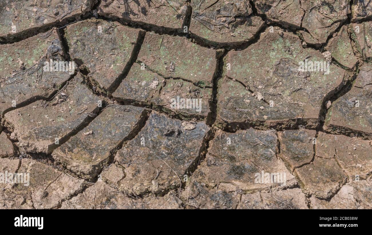 Largo 16:9 fango cracked in campo asciutto drenaggio fossa. Per carenza idrica, siccità nel Regno Unito, ondata di caldo, colture a caldo, giardinaggio nell'onda di caldo, scienza del suolo Foto Stock
