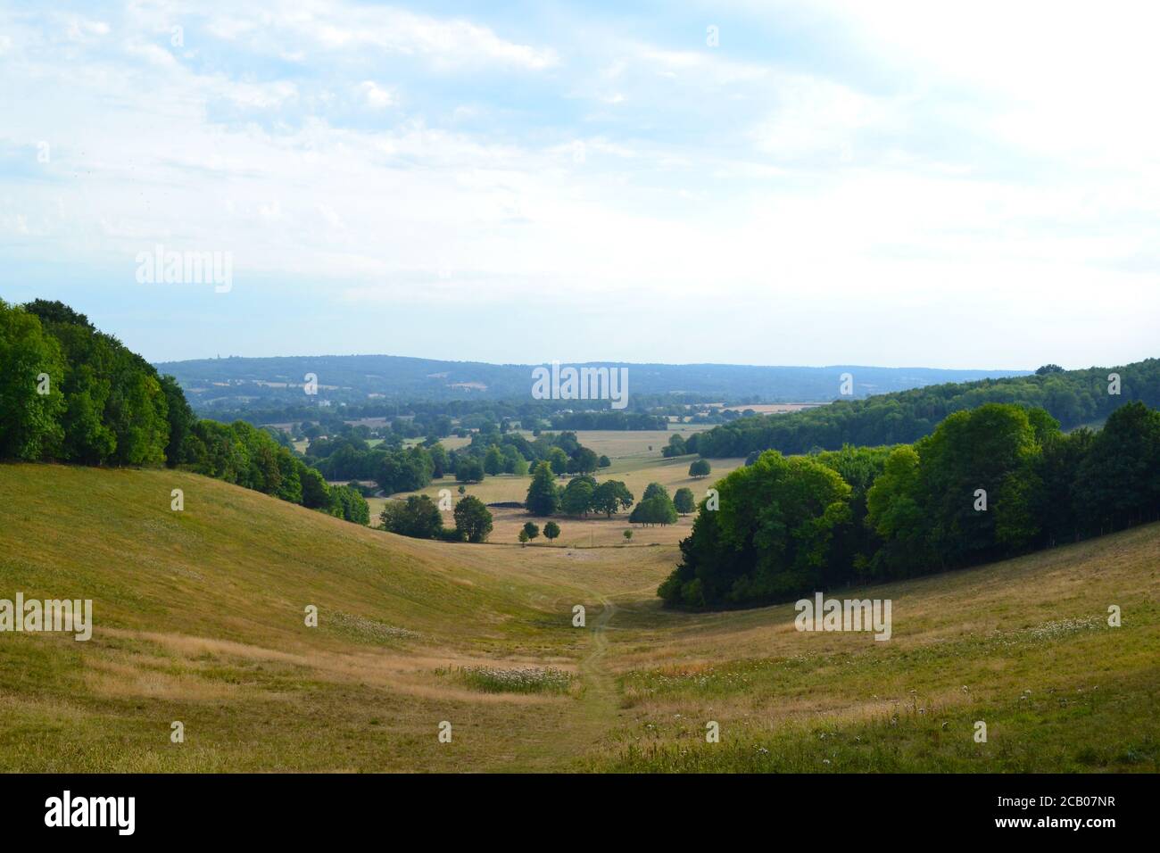 Metà agosto sul percorso North Downs Way tra Knockholt Pound e Chevening frazione. Le foto mostrano la scarpata di gesso dei North Downs Foto Stock