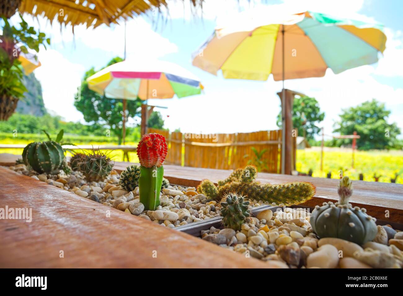 SA Kaeo, Thailandia - 17 luglio 2020: Splendido scenario presso il popolare caffè chiamato Woodhouse Khao Chakan nel distretto di Khao Chakan, nella provincia di SA Kaeo, Foto Stock