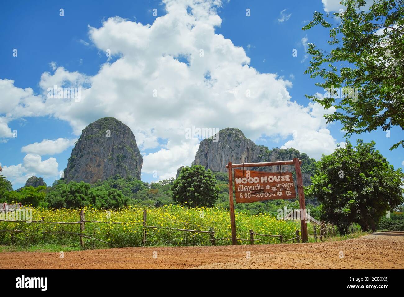 SA Kaeo, Thailandia - 17 luglio 2020: Splendido scenario presso il popolare caffè chiamato Woodhouse Khao Chakan nel distretto di Khao Chakan, nella provincia di SA Kaeo, Foto Stock