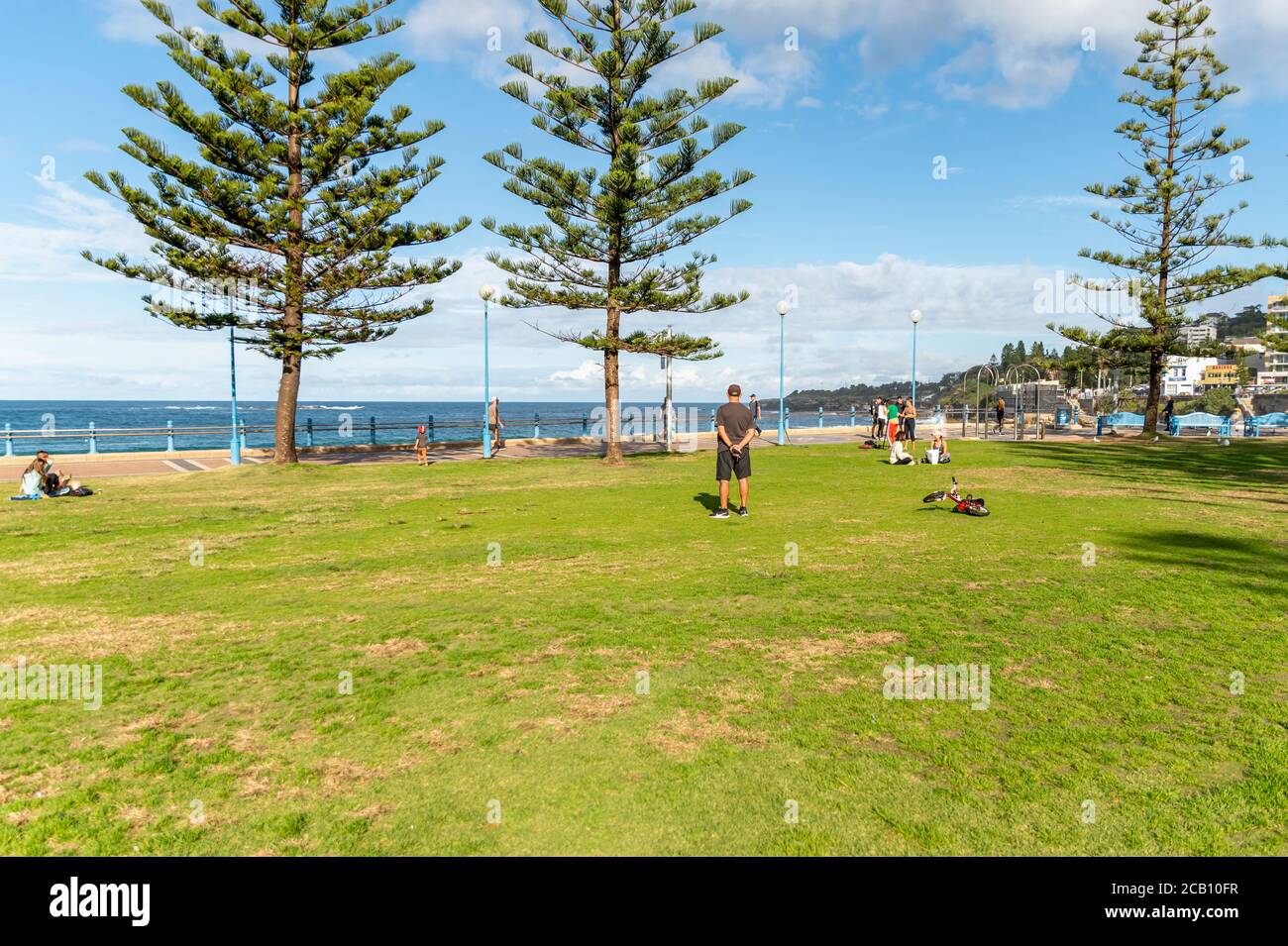 Area di Big Grass presso la Goldstein Reserve e Coogee Beach sullo sfondo sfocate in un pomeriggio di autunno soleggiato con il cielo blu e. nuvole Foto Stock
