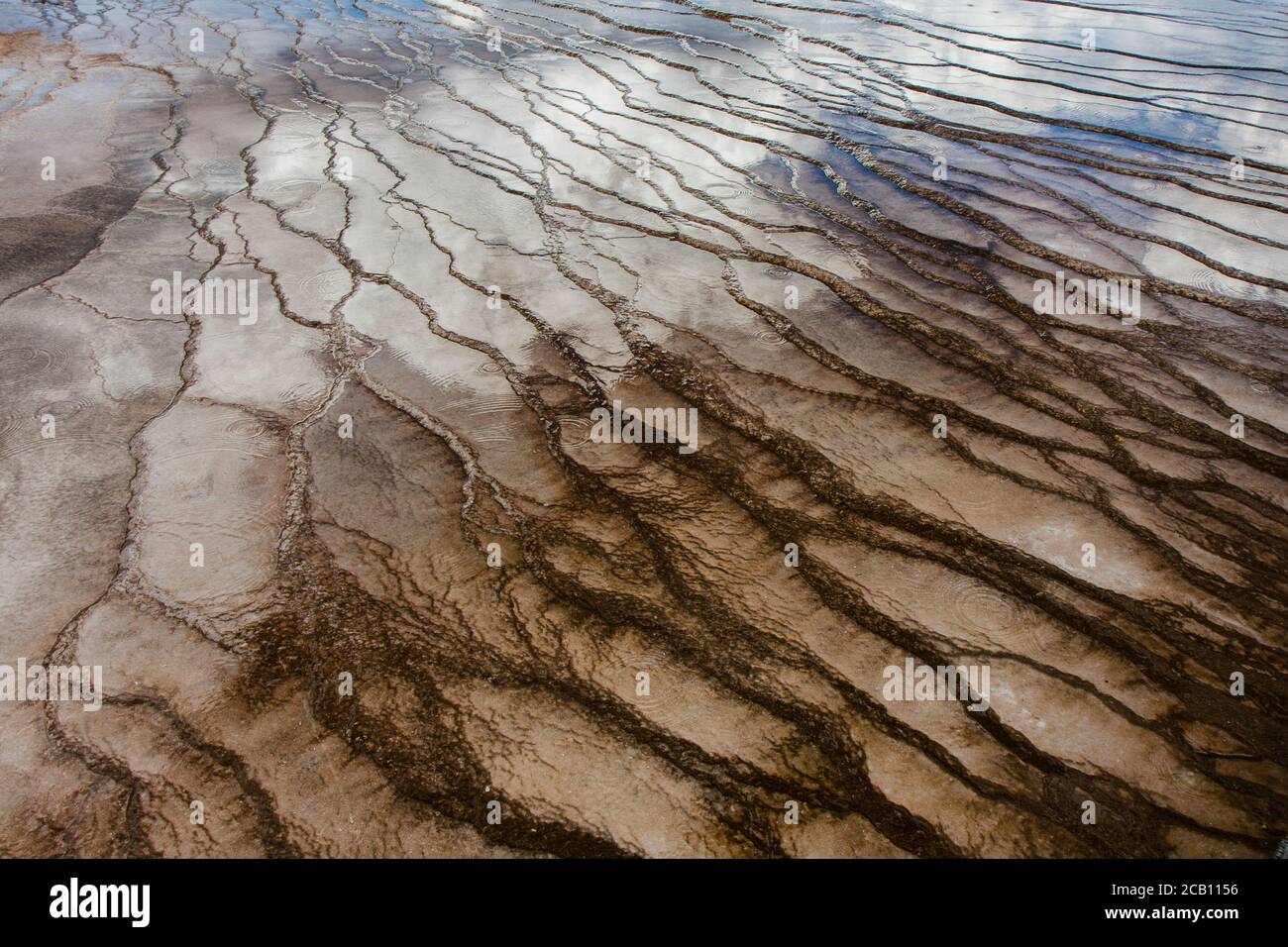 Texture da un tappeto microbico in una sorgente calda di Yellowstone Foto Stock