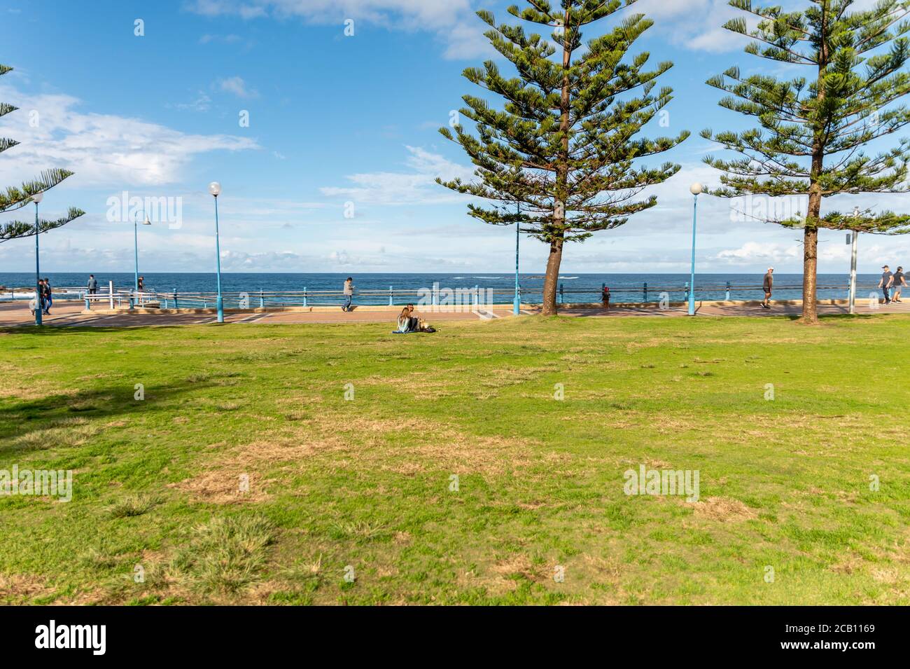 Area di Big Grass presso la Goldstein Reserve e Coogee Beach background Sfocate in un pomeriggio di autunno soleggiato con il cielo blu e. nuvole Foto Stock