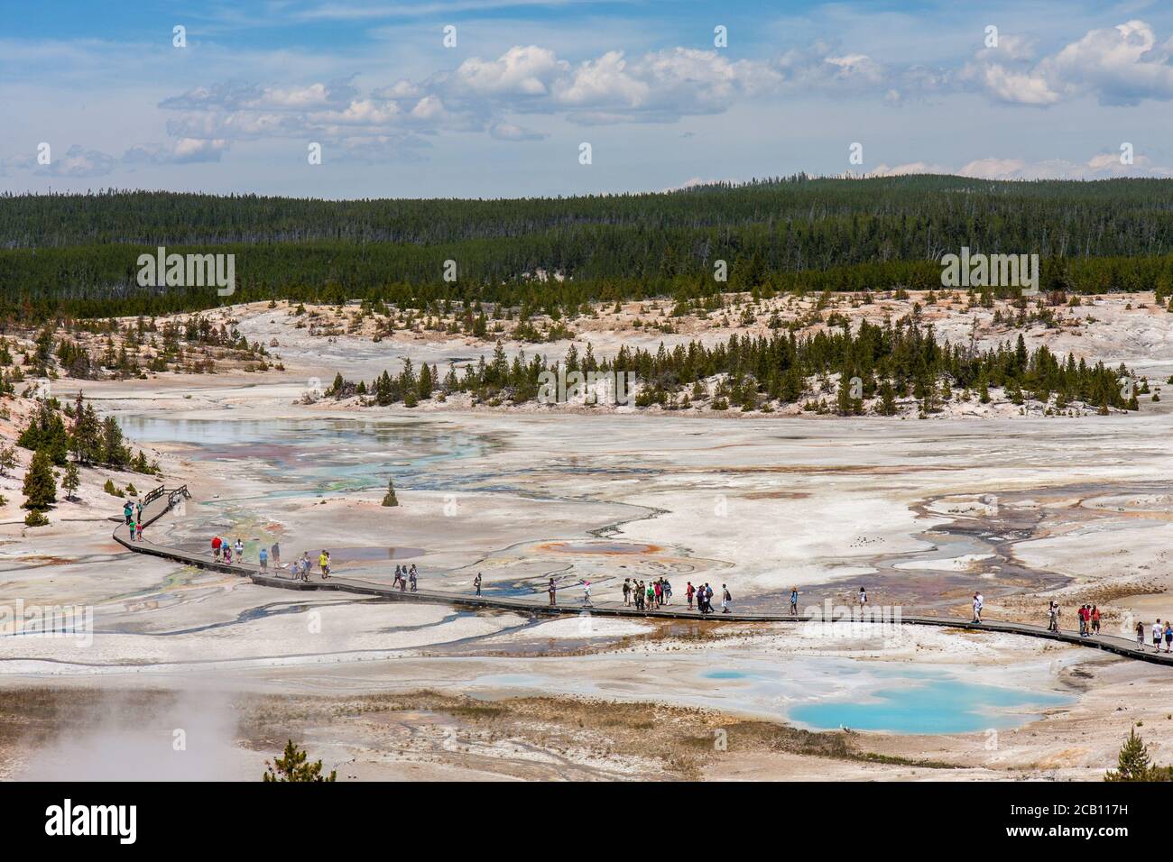 Sorgenti termali nel Parco Nazionale di Yellowstone Foto Stock