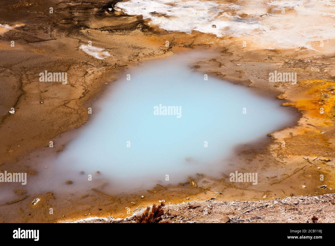 Sorgenti termali nel Parco Nazionale di Yellowstone Foto Stock