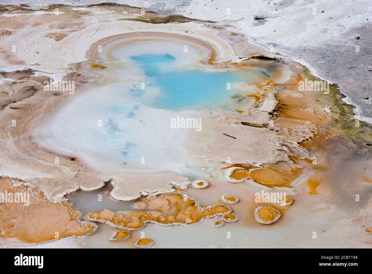 Sorgenti termali nel Parco Nazionale di Yellowstone Foto Stock