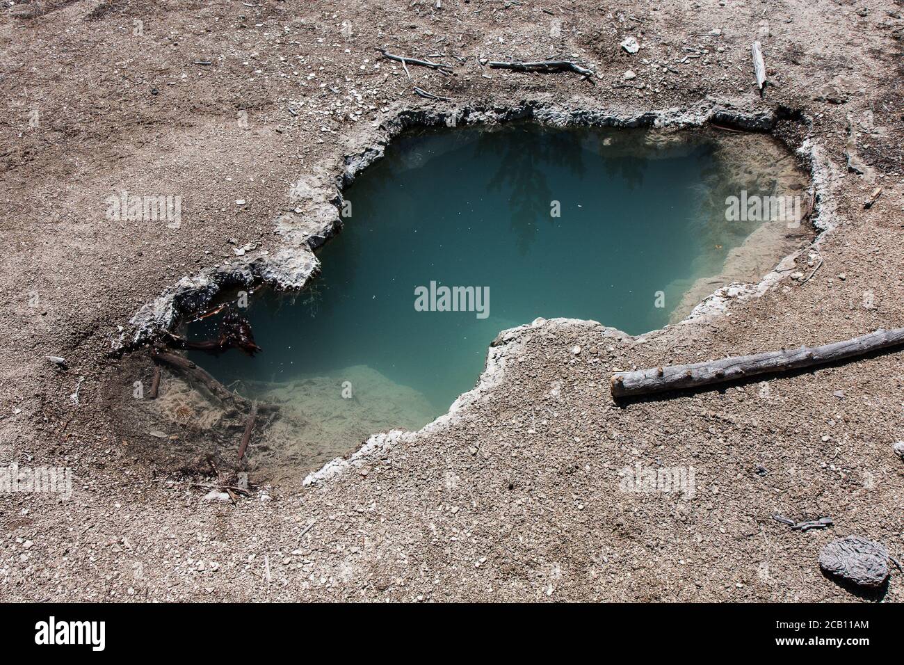 Sorgenti termali nel Parco Nazionale di Yellowstone Foto Stock