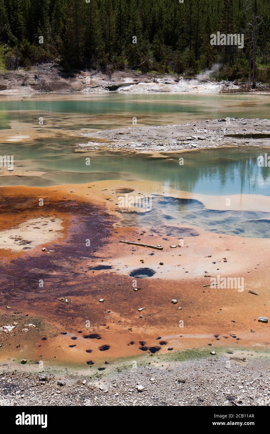 Sorgenti termali nel Parco Nazionale di Yellowstone Foto Stock