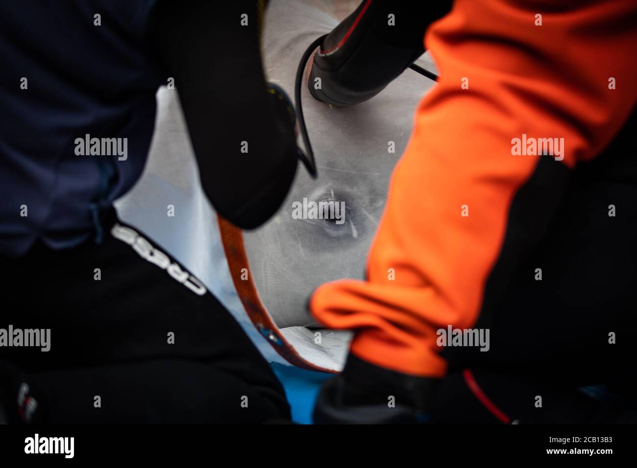 Il team del Sea Life Trust sposta il piccolo grigio delle balene di Beluga da un rimorchiatore durante il trasferimento alla piscina per la cura della baia, dove saranno acclimatati all'ambiente naturale della loro nuova casa presso il santuario di acqua aperta nella baia di Klettsvik in Islanda. Le due balene di Beluga, denominate Little Grey e Little White, sono state spostate nel primo santuario di balene all'aperto del mondo dopo essere state trasferite da un acquario in Cina a 6,000 miglia di distanza nel giugno 2019. Foto Stock