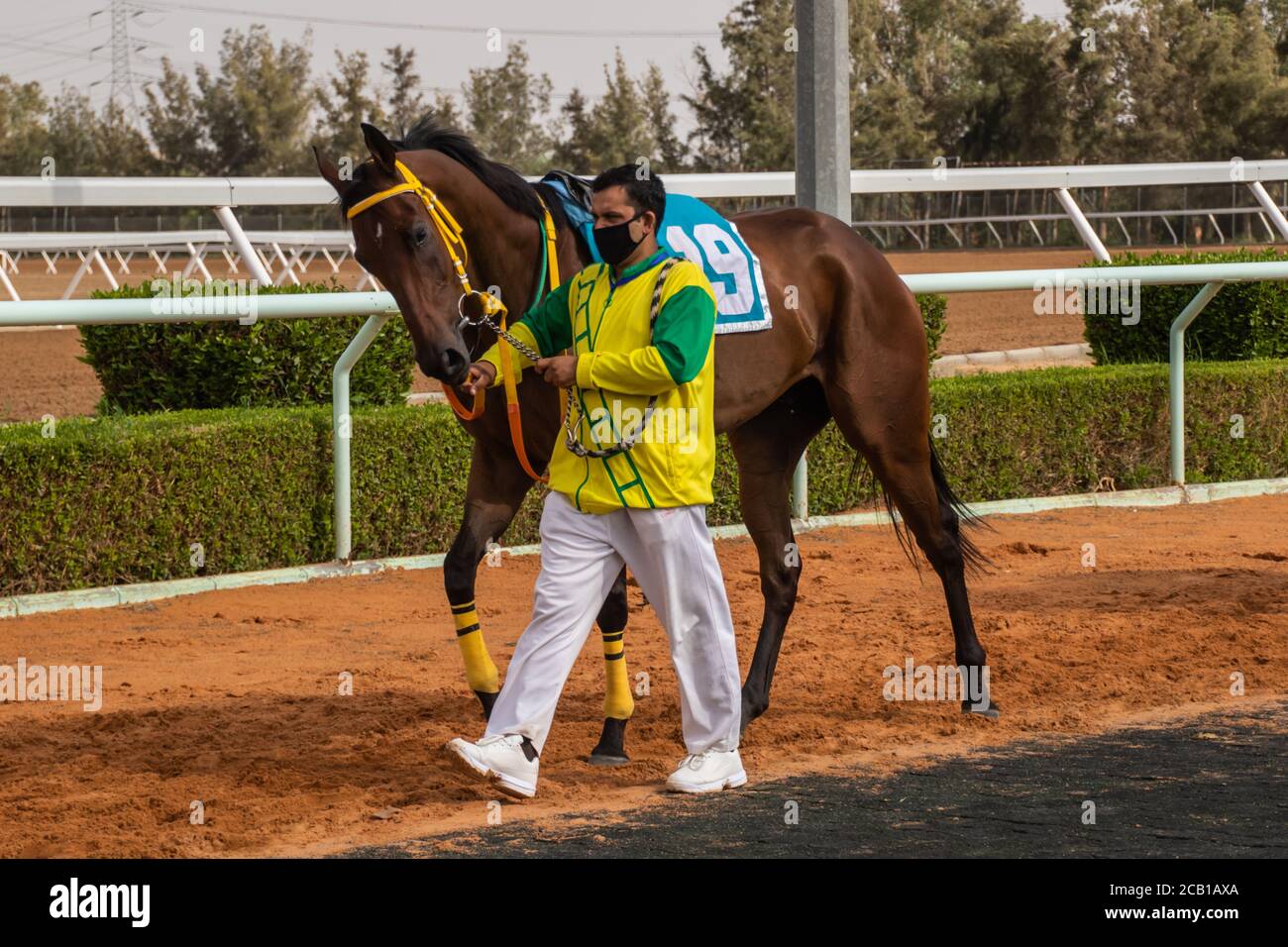 Corse di cavalli al King Khalid Racetrack 7/8/2020 Foto Stock