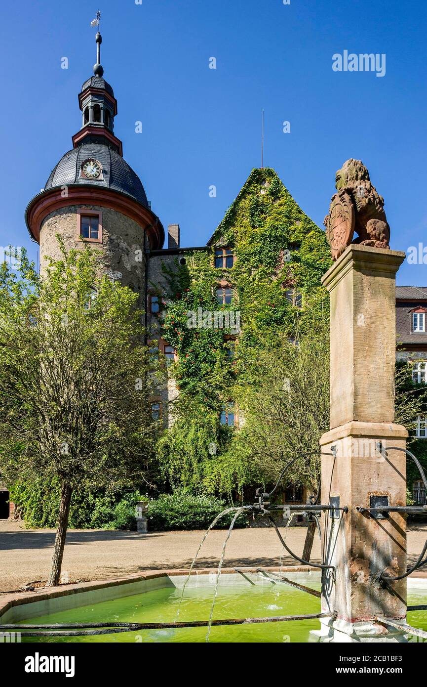 Castello medievale, Castello di Lubach, cresciuto con l'edera comune (Hedera Helix), residenza dei conti di Solms Lubach, Lubach, Assia, Germania Foto Stock