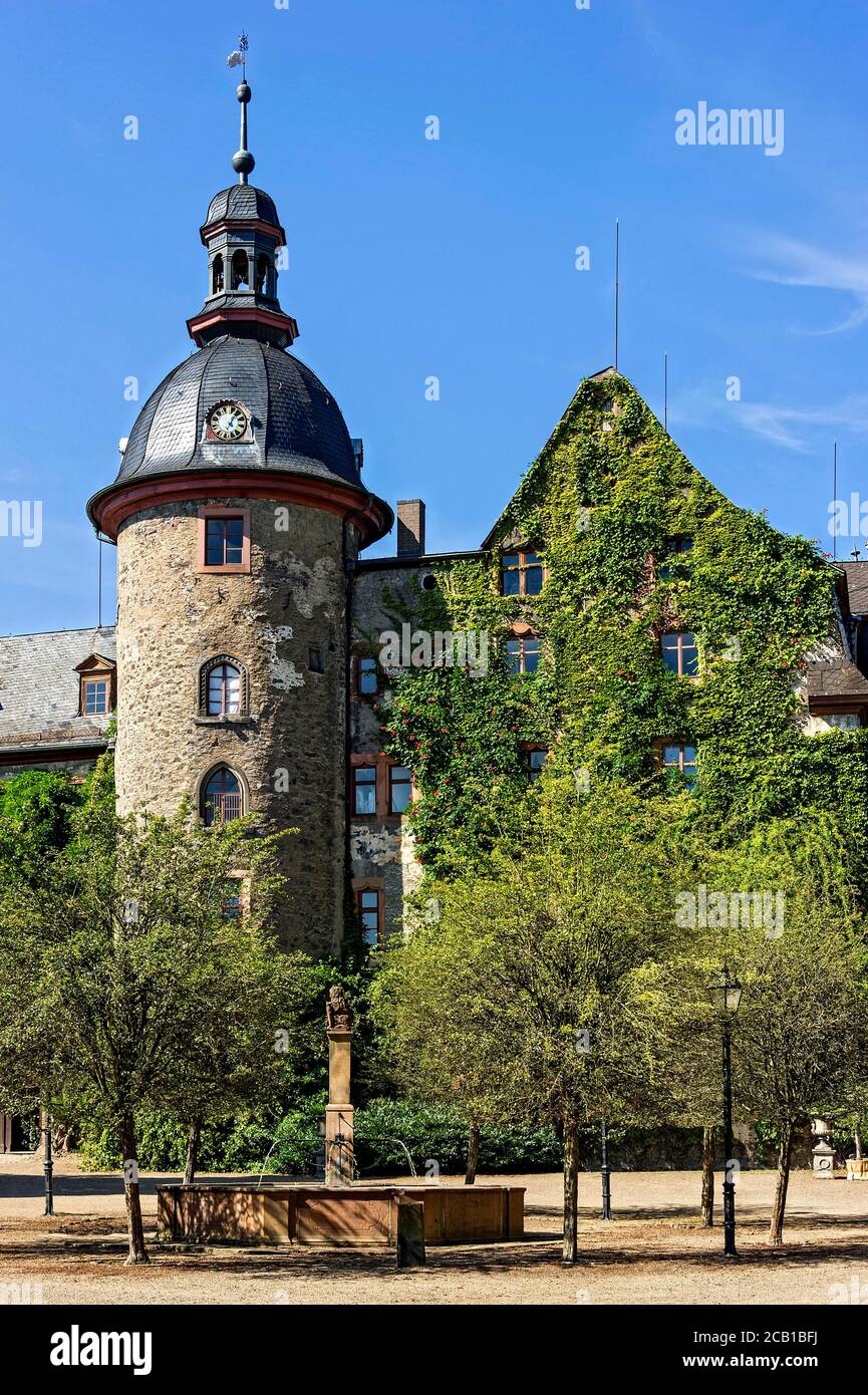Castello medievale, Castello di Lubach, cresciuto con l'edera comune (Hedera Helix), residenza dei conti di Solms Lubach, Lubach, Assia, Germania Foto Stock