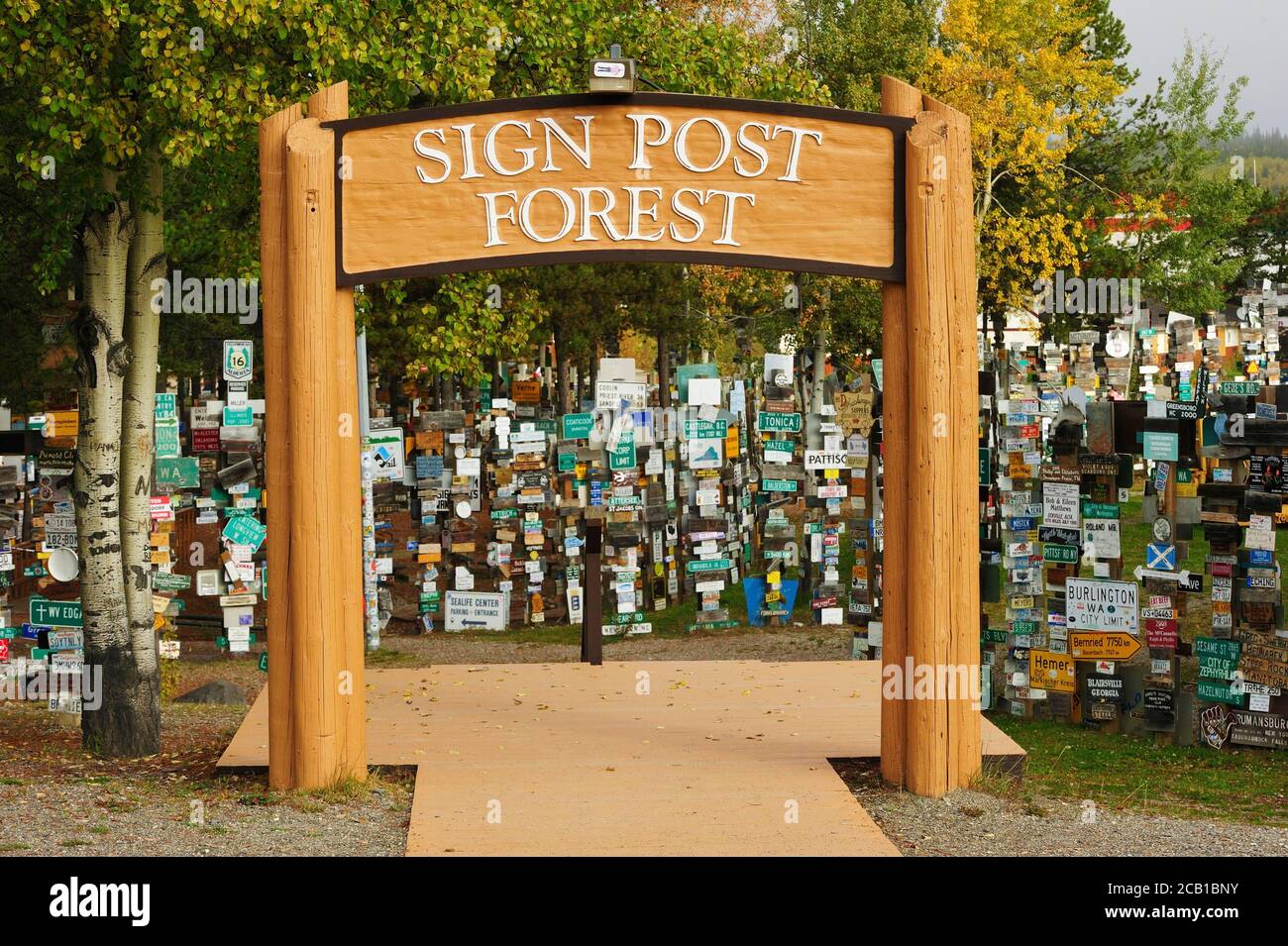 Segno posto foresta, Watson Lago, Yukon Territory, Canada Foto Stock