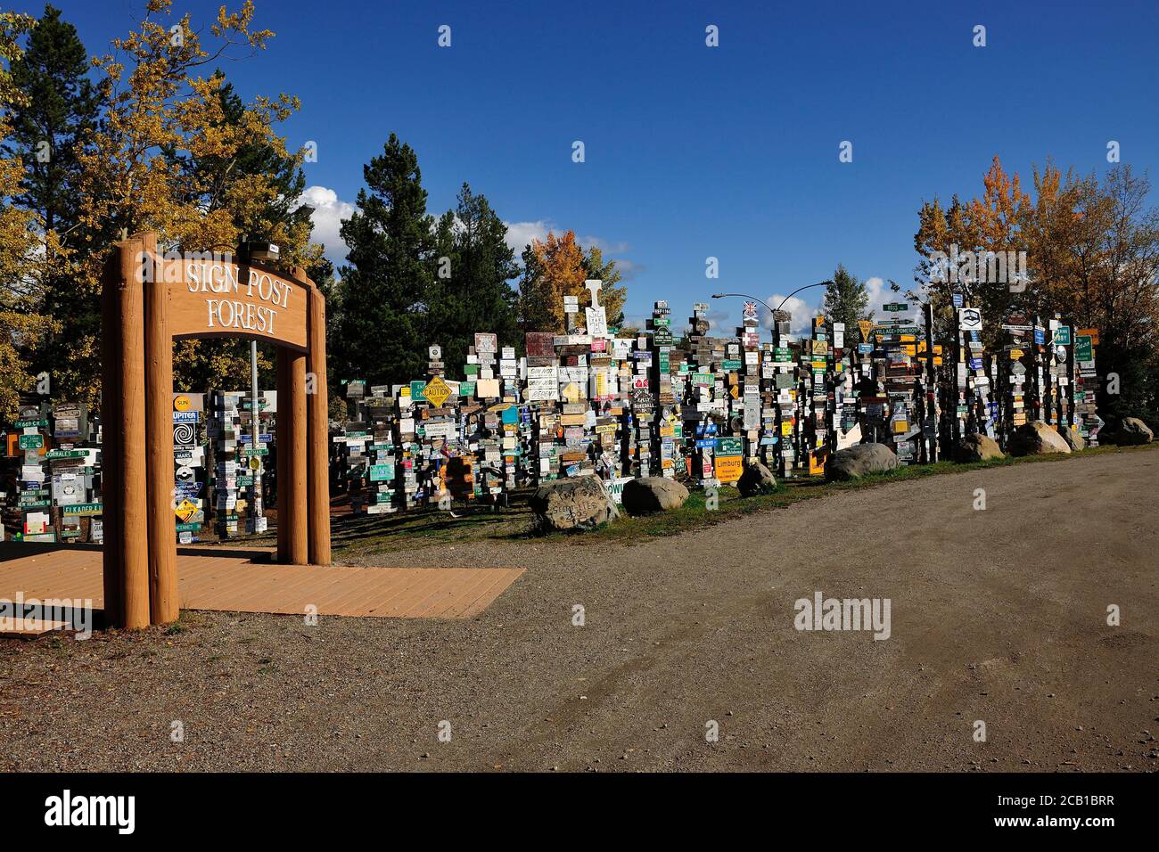 Segno posto foresta, Watson Lago, Yukon Territory, Canada Foto Stock