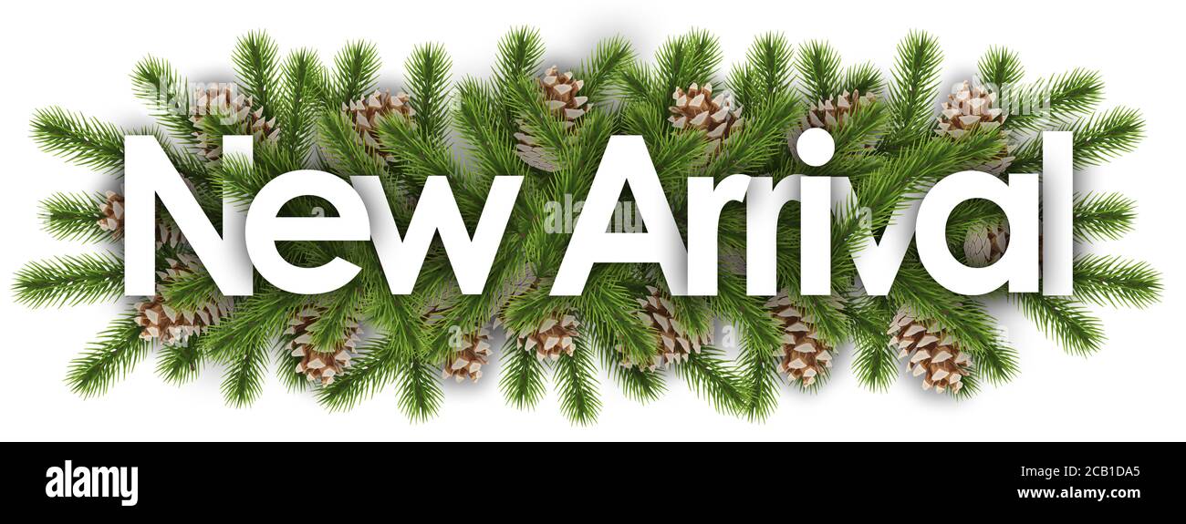 Nuovo arrivo in background natalizio - ramificazioni di pino Foto Stock
