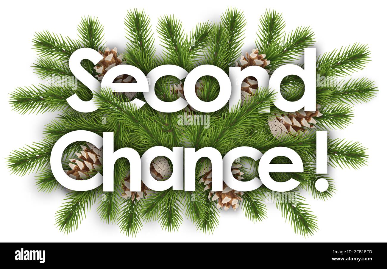 Seconda Chance in sfondo natalizio - ramificazioni di pino Foto Stock