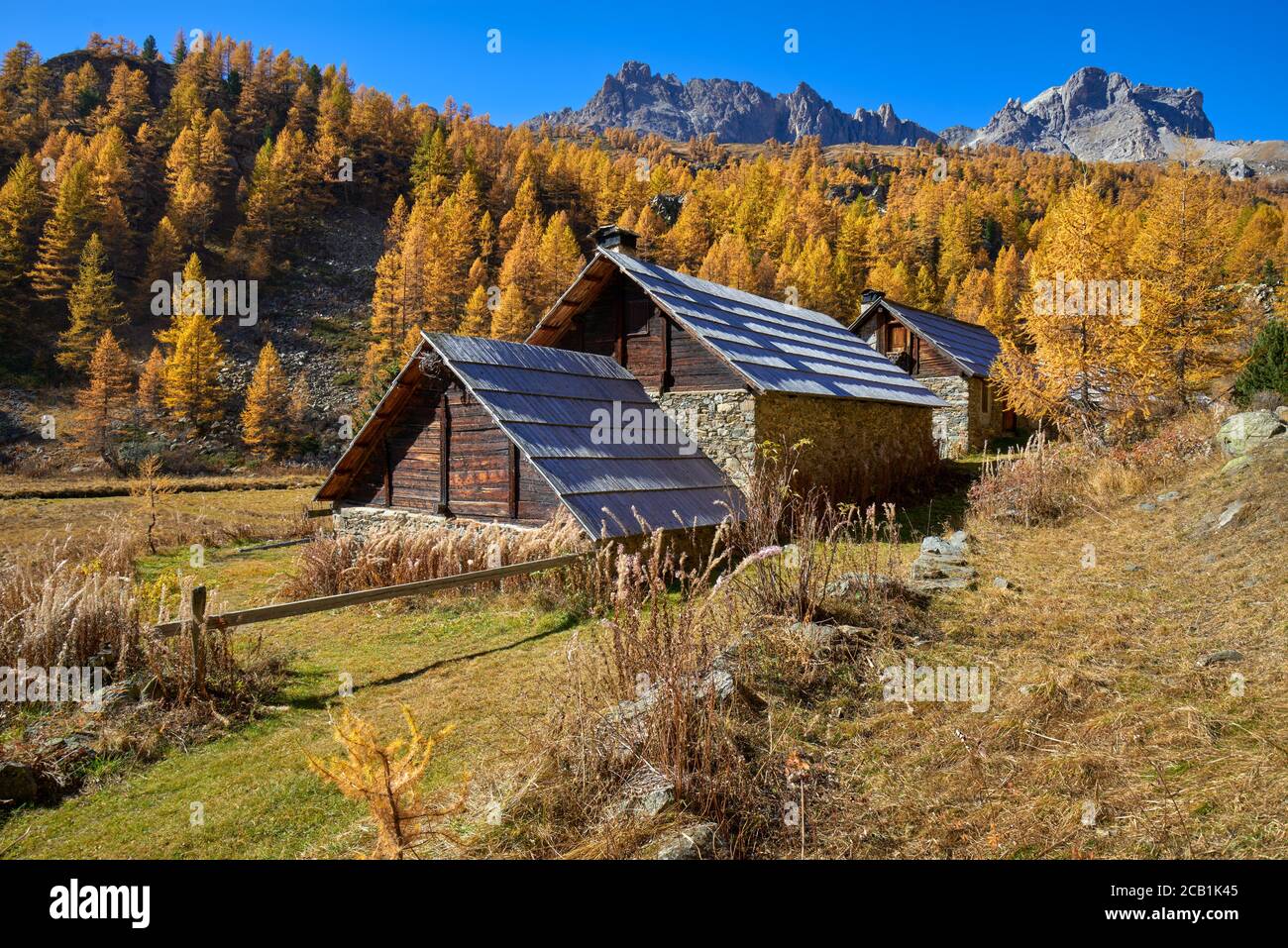 La Valle alta di Caree con larici in pieno autunno e le montagne del Massiccio dei Cerces sullo sfondo. Nevache, Alte Alpi, Alpi, Francia Foto Stock