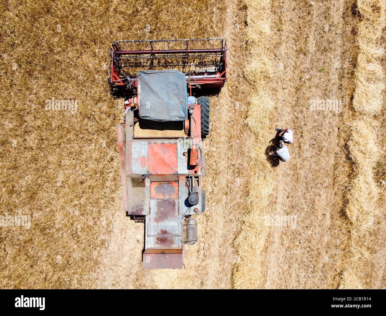 Vista aerea del campo di grano raccolto in Turchia. Raccolto di grano in estate. Foto Stock