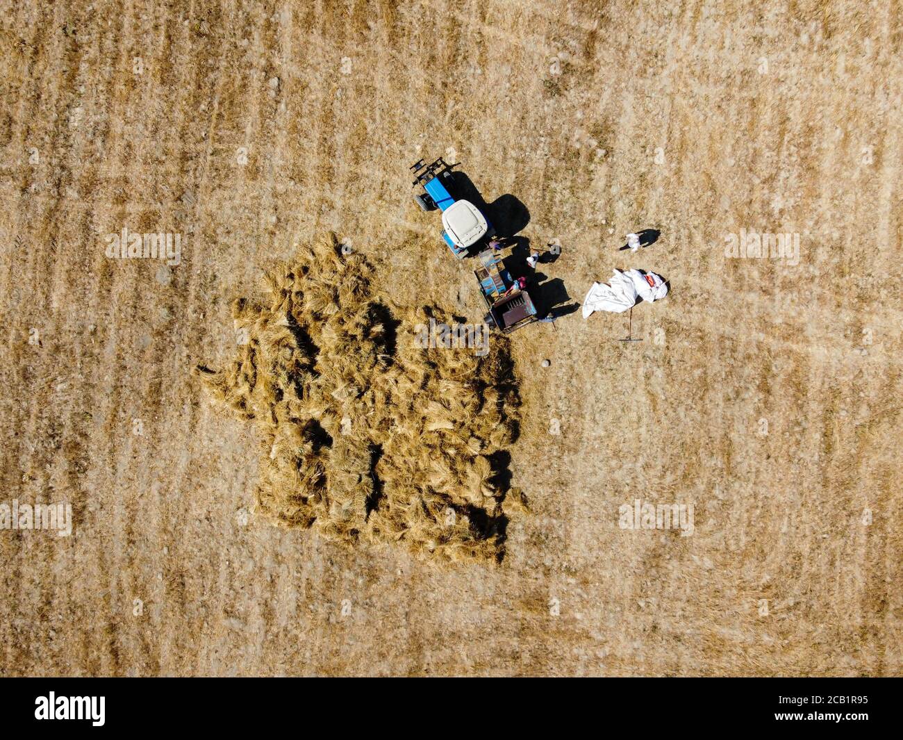 Vista aerea degli agricoltori che raccolgono grano. Raccolto di grano in estate. Turco conosciuto come 'harman yeri' Foto Stock