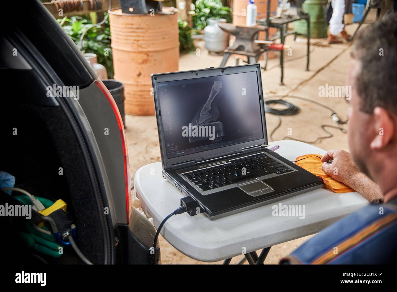 Vet controllo dei raggi X equini (laminiti) in un laptop Foto Stock