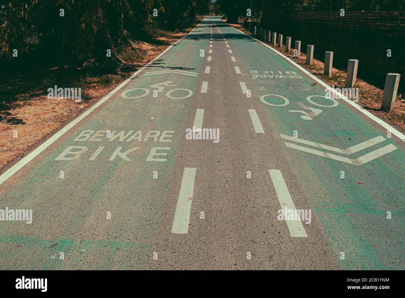 Piste ciclabili vuote o piste ciclabili, piste ciclabili con corsie. Simboli ciclisti su strada verde. Foto Stock