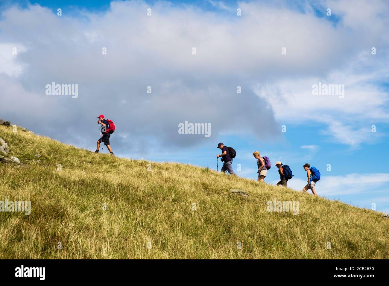 Una serie di escursionisti che camminano su una collina seguendo un leader sul versante erboso di Moel Lefn nel Parco Nazionale di Snowdonia. Gwynedd, Galles, Regno Unito, Gran Bretagna Foto Stock