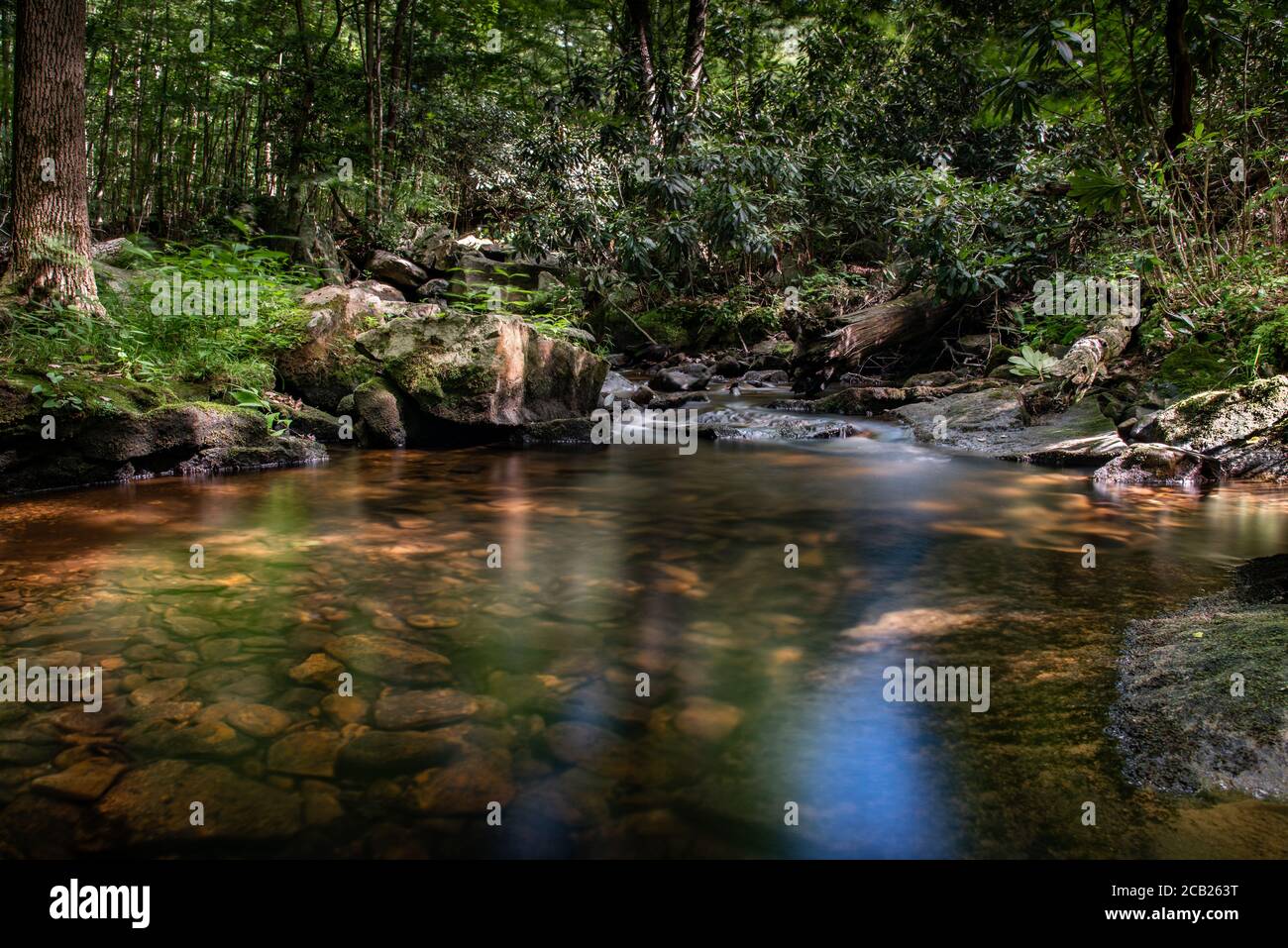 i riflessi in un ruscello di montagna forniscono chiarezza Foto Stock