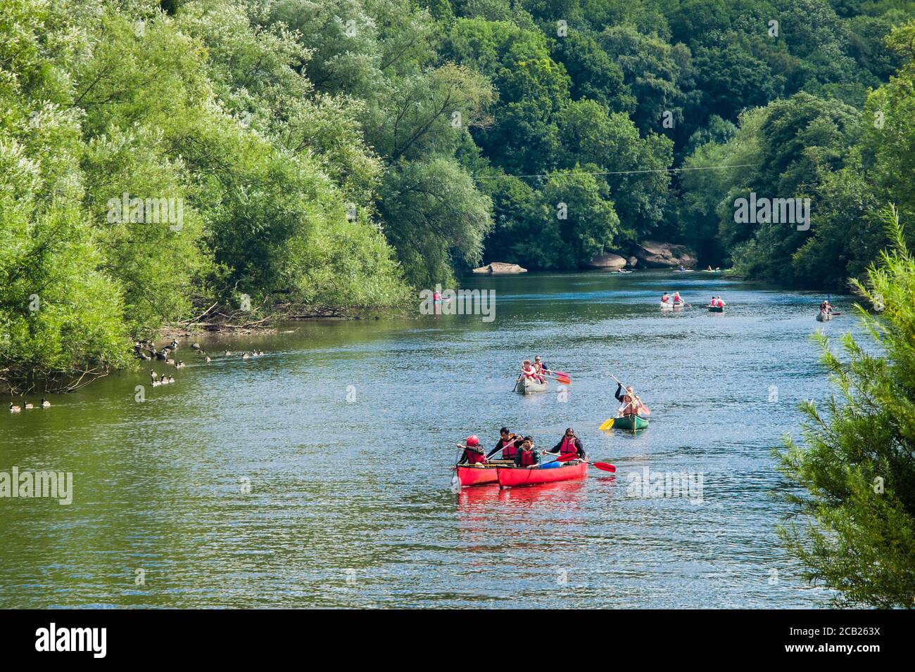 Persone famiglia canoa sul fiume Wye nella foresta di Dean in estate a Symonds Yat West, Herefordshire, Inghilterra, Regno Unito, Gran Bretagna Foto Stock