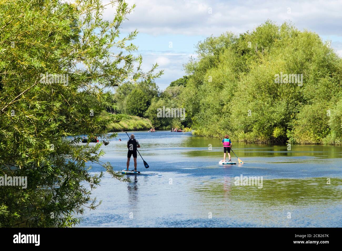 La gente pagaia imbarco sul fiume Wye nella foresta di Dean in estate a Symonds Yat West, Herefordshire, Inghilterra, Regno Unito, Gran Bretagna Foto Stock