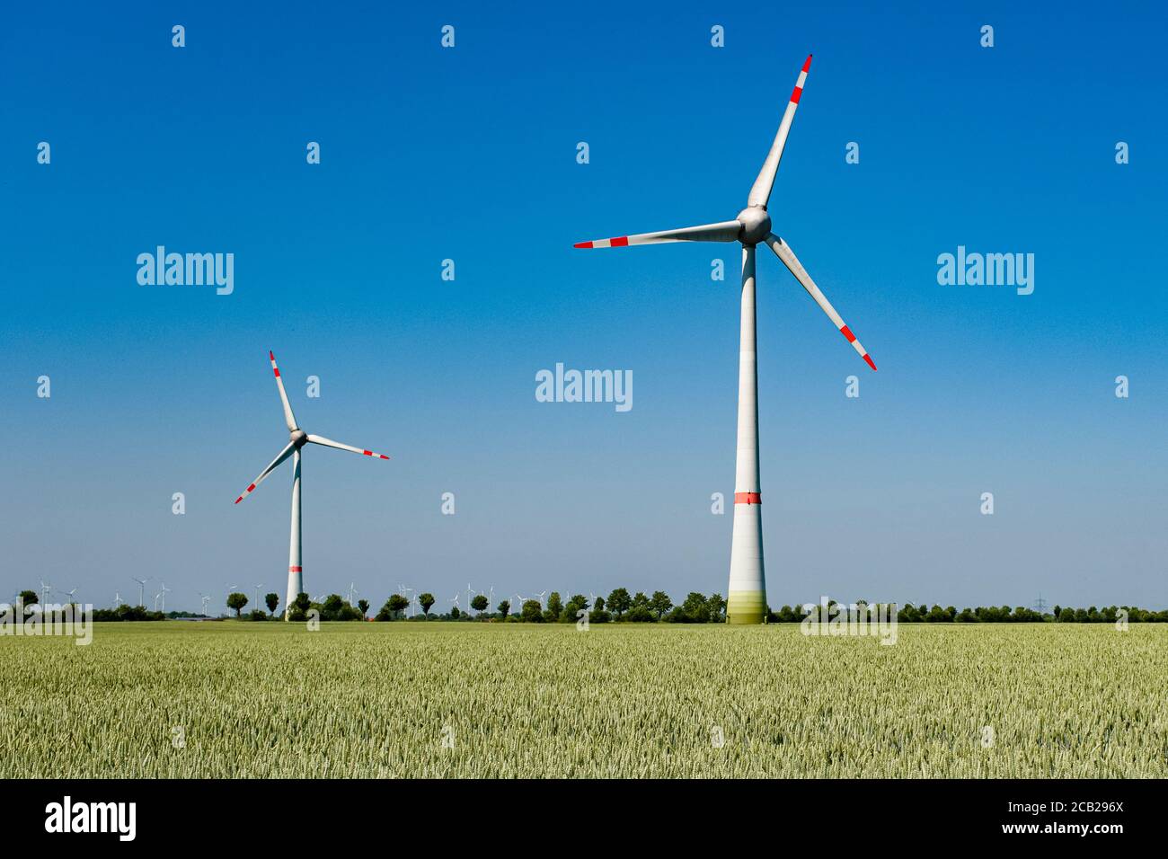 Paesaggio agricolo con un campo di grano verde e due turbine eoliche, molte più turbine eoliche in lontananza Foto Stock