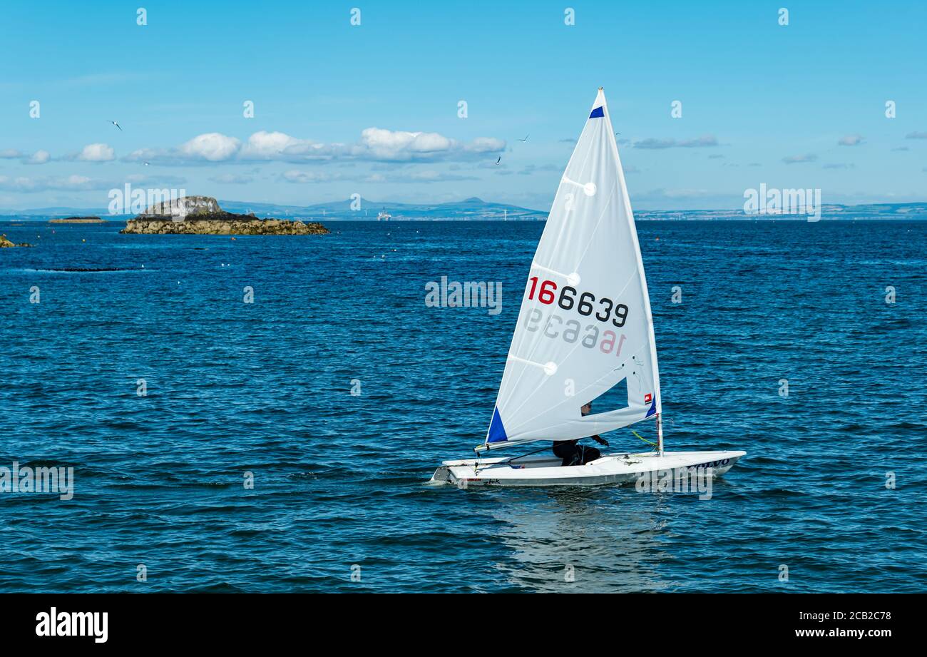 Dinghy di navigazione laser a Firth of Forth nella soleggiata giornata estiva, Scozia, Regno Unito Foto Stock