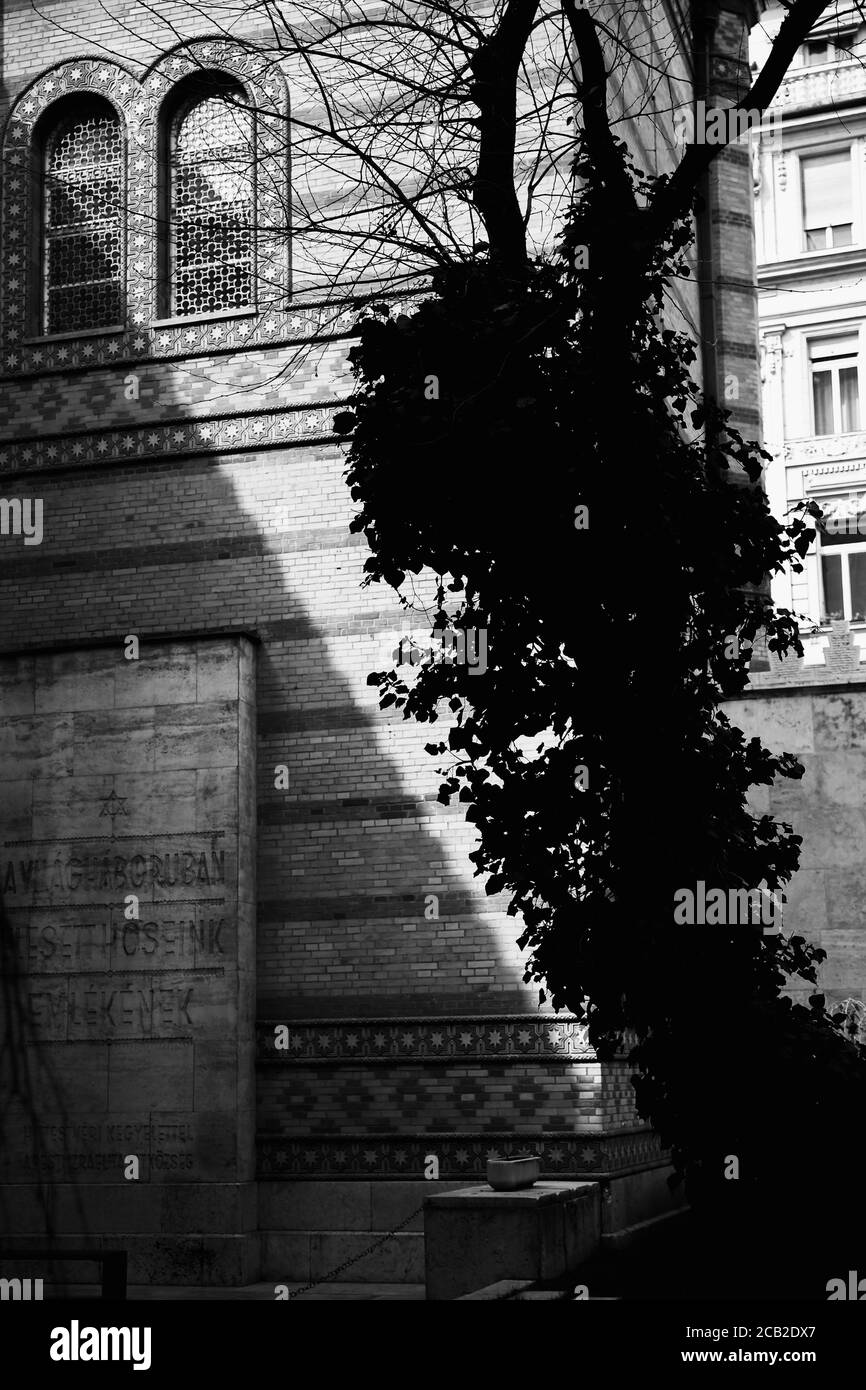 Dettagli dell'architettura fotografica in bianco e nero della sinagoga di Budapest, la sinagoga di Dohany a Budapest, Ungheria Foto Stock